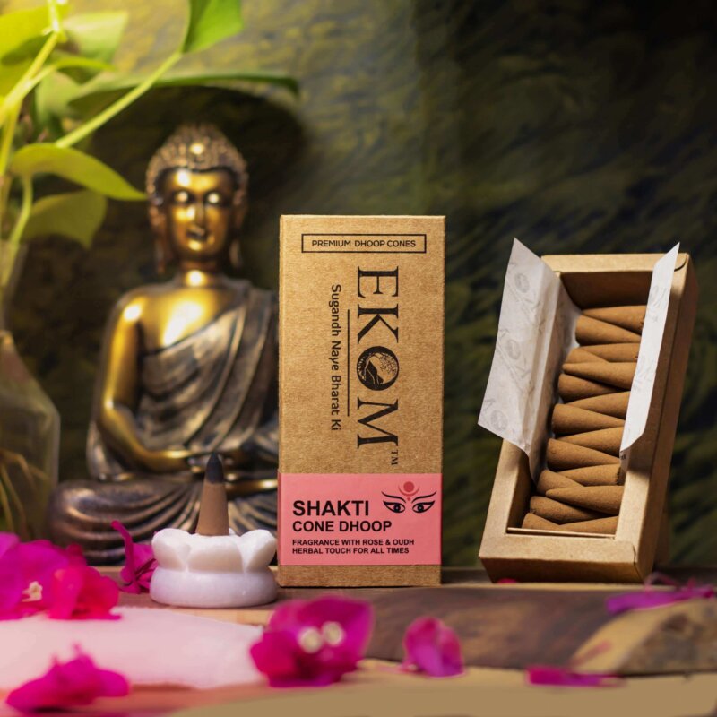 SHAKTI - Grace of Tradition